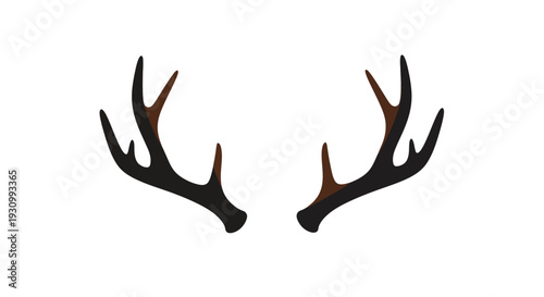 Elk Antlers Deer Horns.