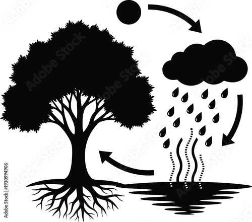 World environment day the water cycle and tree's role