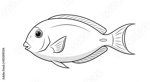 Fish Side View Illustration.