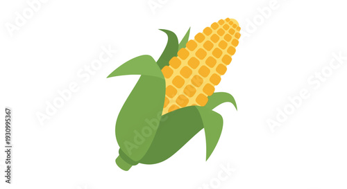 Fresh Corn on Cob.