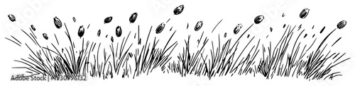 Minimalist ink sketch of tall grass and reeds with seed heads