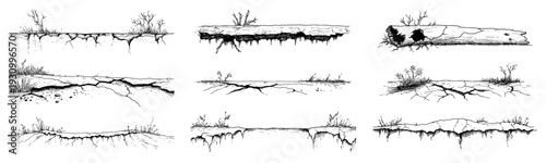 Set of hand drawn sketches showing ground cross sections with soil layers and roots