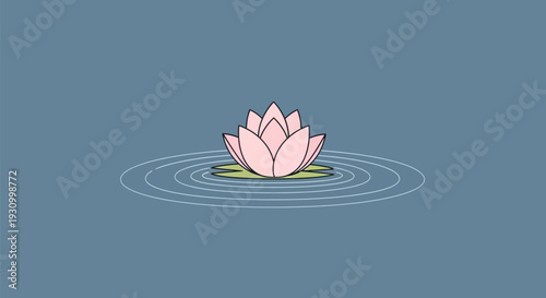 Pink Water Lily Flower on Water Surface.