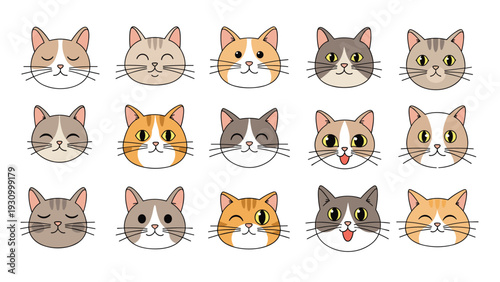 Large collection of diverse cat faces showcases various breeds and adorable expressions in a neat grid for pet lovers.