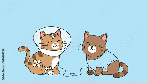 Two cute cats sit together after surgery, one wearing a protective cone and bandages, showing medical pet care support.