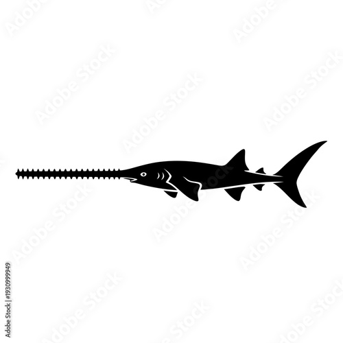 Silhouette of a sawfish in black and white, perfect for design.