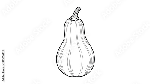 Detailed black and white engraving style illustration of a single butternut squash isolated on a white background.