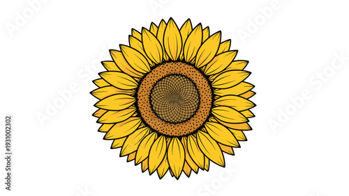 Detailed close up illustration of a vibrant yellow sunflower head with seeds in the center against a clean white background.