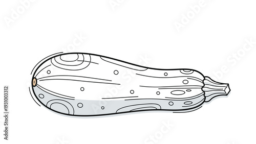 Illustration of a whole white squash with grey spots and outlines on white background for healthy food concepts.