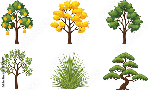 Cartoon trees and plants collection including pear tree, autumn foliage, evergreen tree, bush and ornamental garden plant vector illustration set