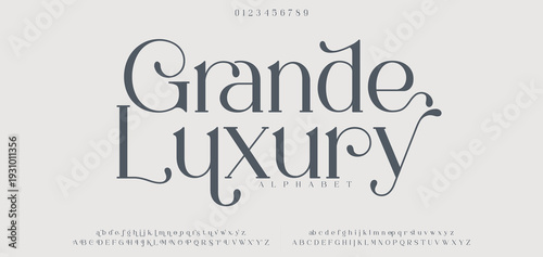 Elegant alphabet letters font logo. Typography luxury classic lettering serif italic fonts decorative wedding vintage retro logos. vector illustration
