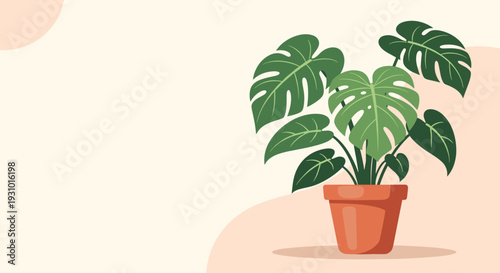 Elegant botanical illustration of a lush green monstera deliciosa plant with large leaves growing in a simple terracotta clay pot on a soft background.