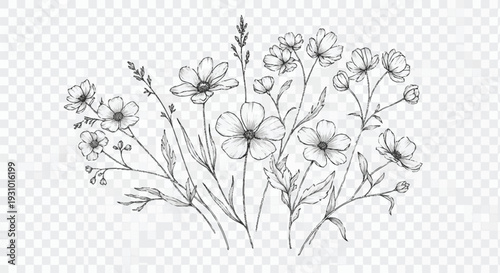 Black and white of a bouquet of wildflowers on transparent background