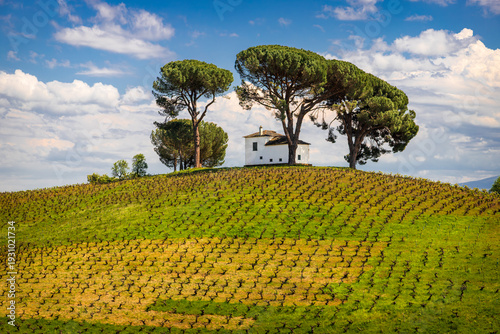 Scenic view of rolling vineyards and an iconic historic villa in the El Bierzo wine region along the Camino de Santiago trail, traditional viticulture landscape under a blue sky in Spain.