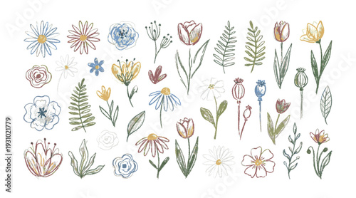 Set of hand drawn colorful floral doodles and botanical elements. Collection of cute primitive flowers, leaves and buds in crayon style on a transparent background.