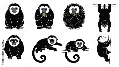 Various primate species elements in different poses and activities, showcasing diverse monkey behaviors and actions in a vector illustration
