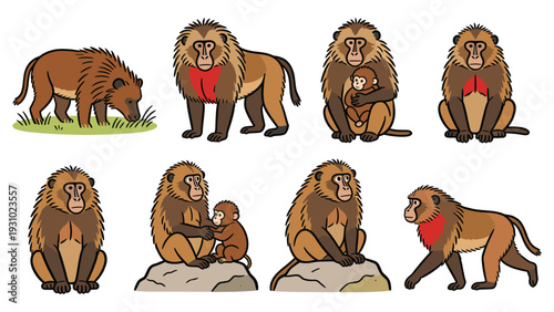 Collection of primate species in various poses and activities in a natural habitat setting and environment illustration
