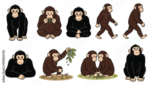 Monkeys engaged in various activities and poses, showcasing primate behavior and species in a detailed illustration pack.