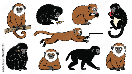 Diverse primate species in various poses and activities, showcasing global monkey diversity and behaviors in a vector illustration pack.