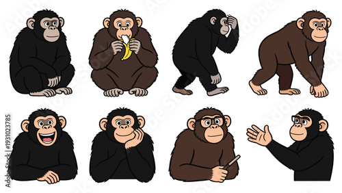 Collection of primate species in various poses and activities from different viewpoints showcasing their lively behavior