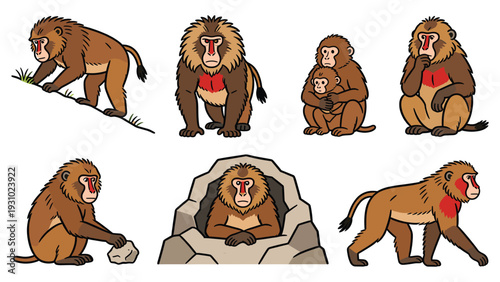 Primate species illustrated in various poses and activities showcasing monkey behavior and lifestyle in different environments and scenery