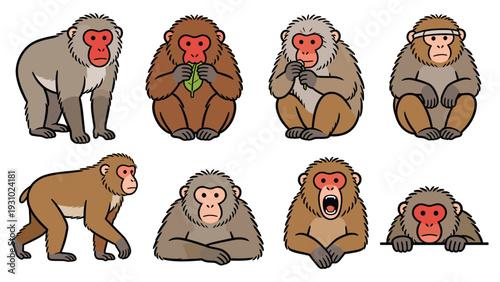 Diverse monkey species pack illustration showcasing various primate poses and activities in a studio setting from a straightforward viewpoint