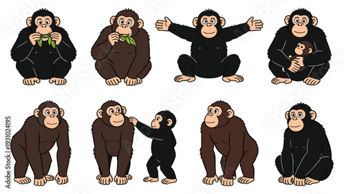Various primate species in different poses and activities illustrated in a vector graphics file, showcasing monkey behavior and emotions.