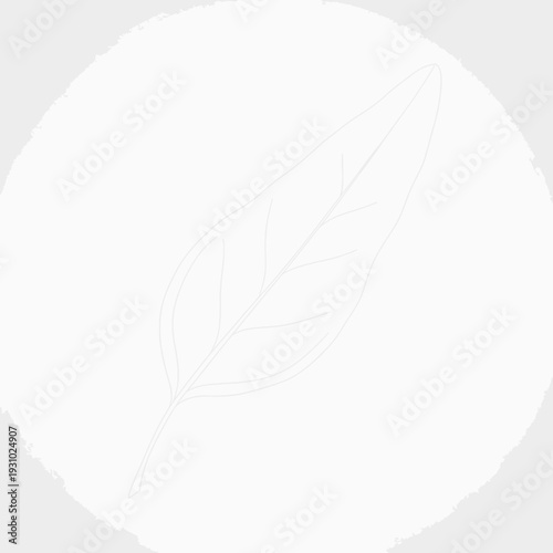 Close up of a white, fluffy, and adorable Maltese dog looking directly at the camera.