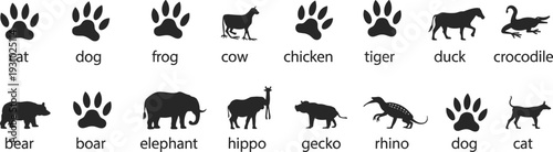 Animal paw prints and silhouettes with labels vector