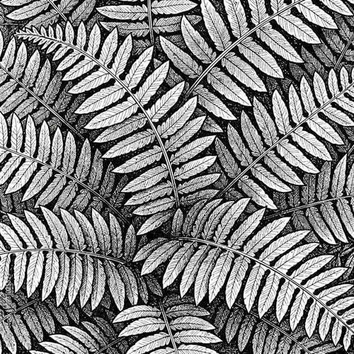 Detailed monochrome illustration of fern leaves creating a natural pattern.