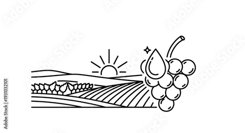 Vineyard Landscape at Sunrise with Grapes and Water Droplet Icon