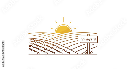 Vineyard landscape with sun and sign, golden hour, agricultural field, rural scenery