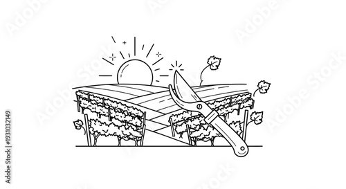 Vineyard pruning shears and sunlit vineyard landscape, agriculture concept