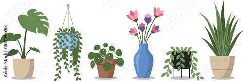 Collection of various indoor potted houseplants and flowers in decorative vases flat illustration