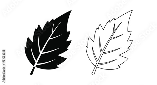 Two contrasting leaf illustrations one dark one light with visible veins