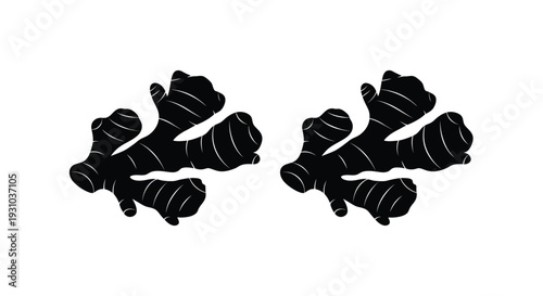 Black and white illustration of two ginger root pieces on white background