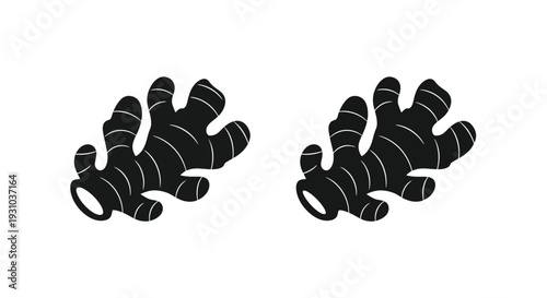 Two pieces of ginger root depicted in a minimalist black and white style