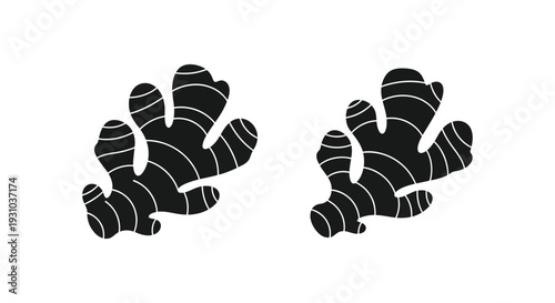 Black and white illustration of two ginger root pieces on a white background