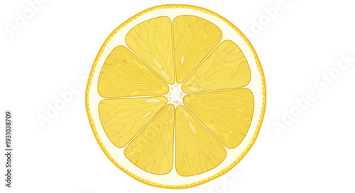 Fresh Lemon Fruit Slice Closeup.