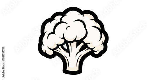 Detailed illustration of cauliflower vegetable.