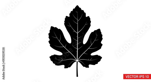 Black silhouette of a fig leaf, isolated on a white background. Vector illustration.