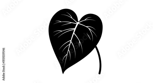 Black silhouette of a heart-shaped leaf with prominent veins and stem on a white background.