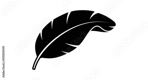Black silhouette of a single feather on a white background