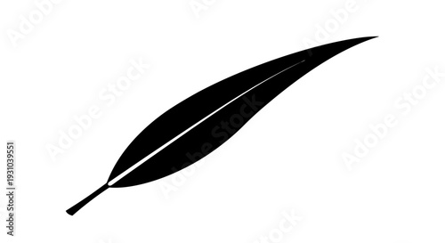 Black Silhouette of a Single Willow Leaf on White Background