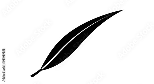 Black Silhouette of a Single Willow Leaf on White Background