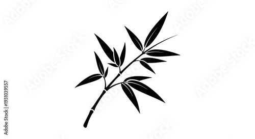 Black Silhouette of Bamboo Branch with Leaves on White Background