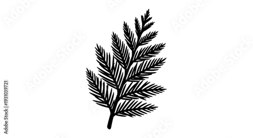 Black and White Fern Leaf Illustration, Botanical Sketch, Minimalist Nature Art