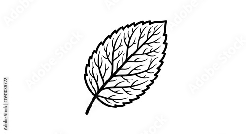 Black and White Line Art of a Single Mint Leaf with Detailed Veins