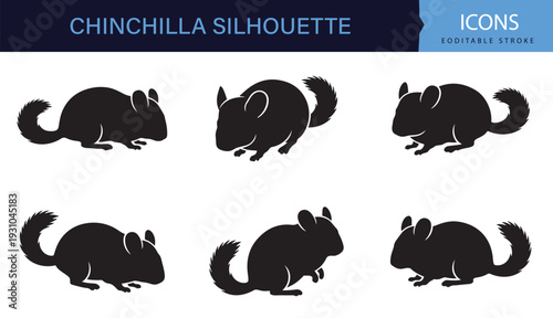 Chinchilla Silhouette Collection Exotic Pet Walking and Crouching Poses Set