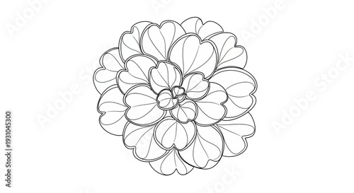 Black and White Sketch of a Succulent Plant Top View